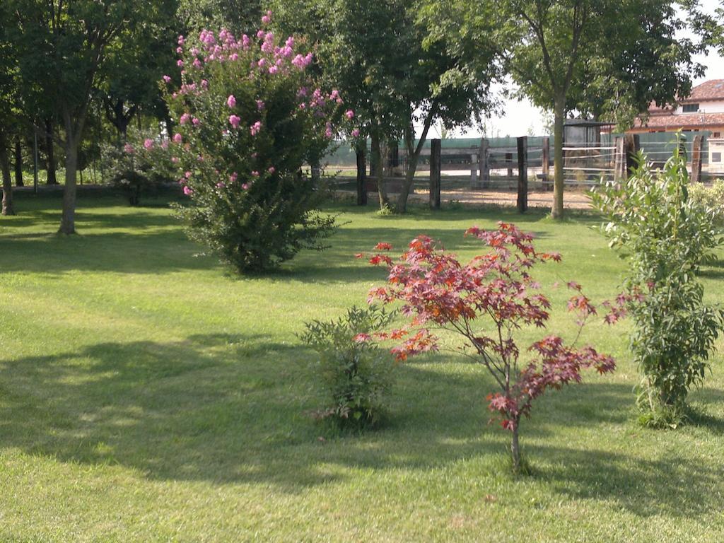 Agriturismo Arte Contadina Fiorenzuola dʼArda Exterior foto